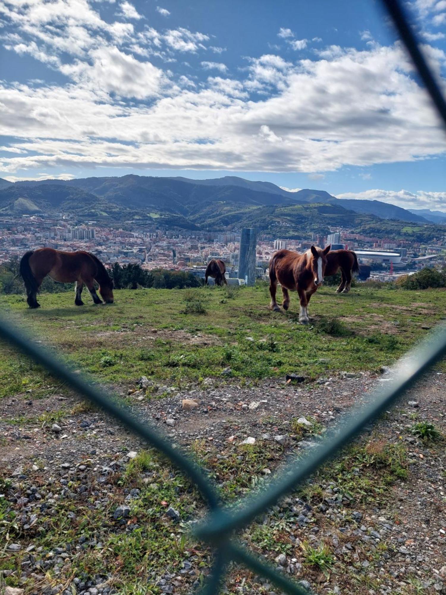 Bilbao Center Apt 90'S Parking Leilighet Eksteriør bilde